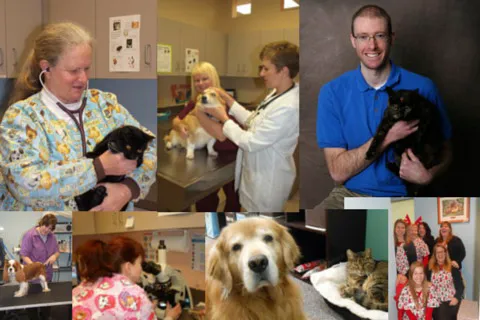 Big Creek Pet Hospital Picture 8