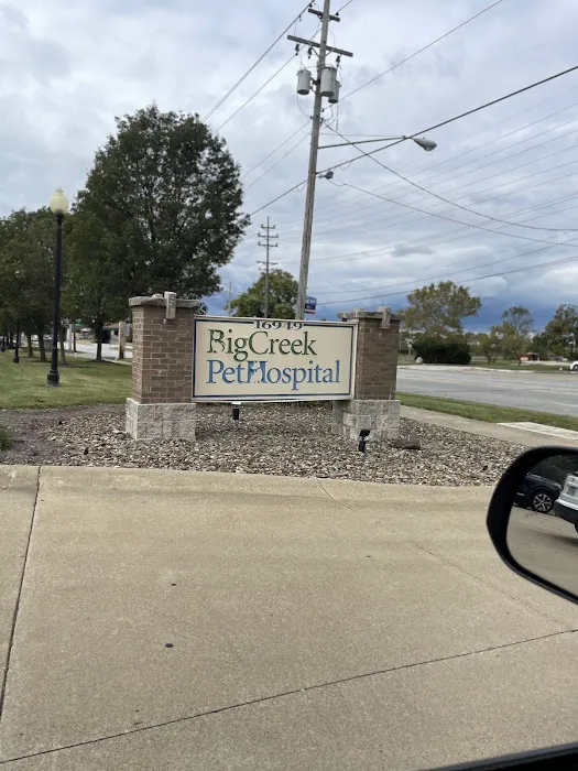 Big Creek Pet Hospital Picture 6