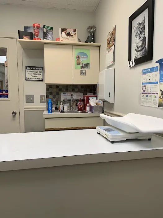 VCA Midpark Animal Hospital Picture 8