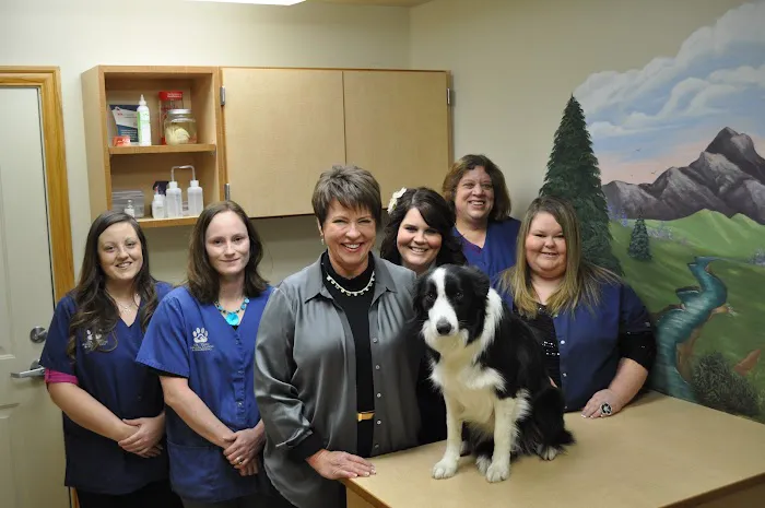 Mt. Zion Animal Clinic and Boarding Picture 4