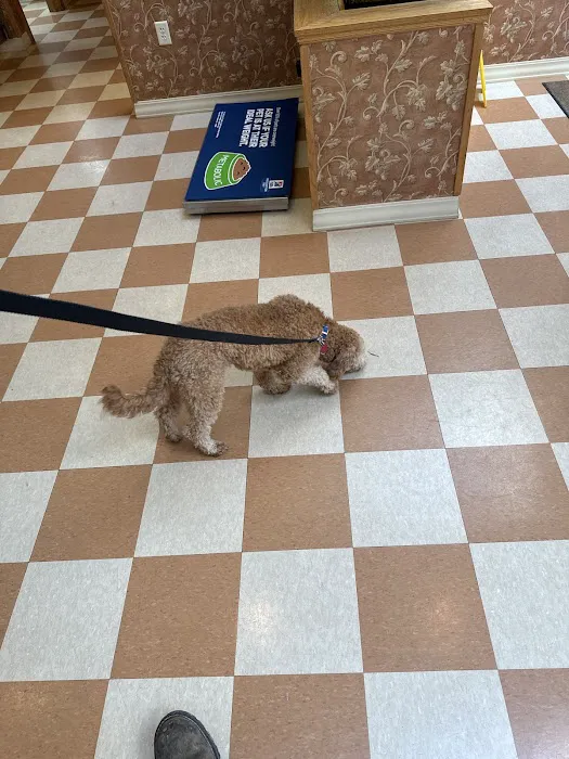 Mt. Zion Animal Clinic and Boarding Picture 3