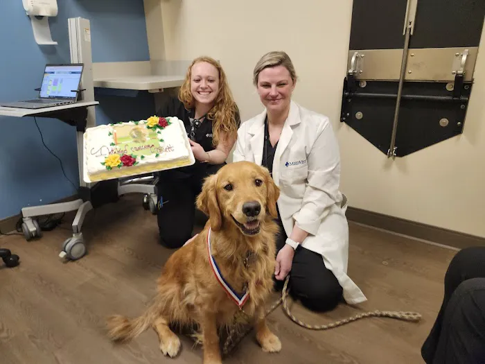 MedVet Cleveland Picture 6