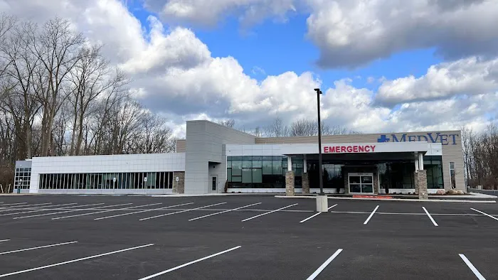 MedVet Cleveland Picture 7