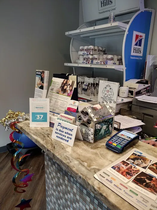 MetroPet Veterinary Clinic Picture 3