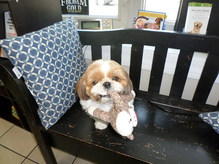 MetroPet Veterinary Clinic Picture 5