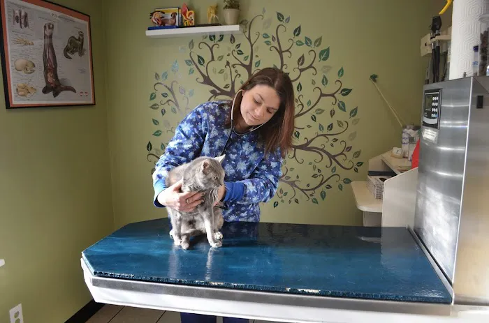 MetroPet Veterinary Clinic Picture 9