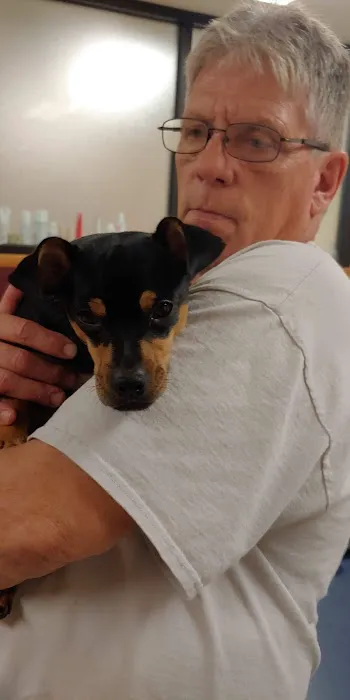 Four Seasons Veterinary Clinic Picture 4