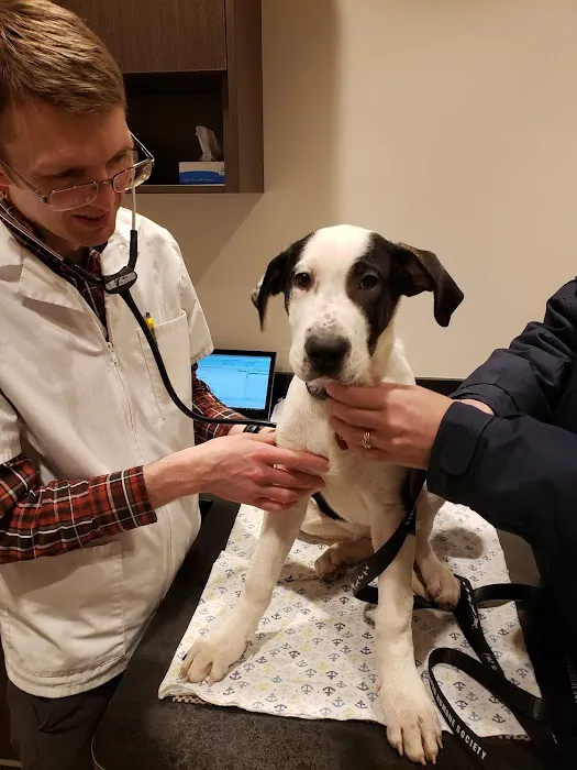 Four Seasons Veterinary Clinic Picture 3