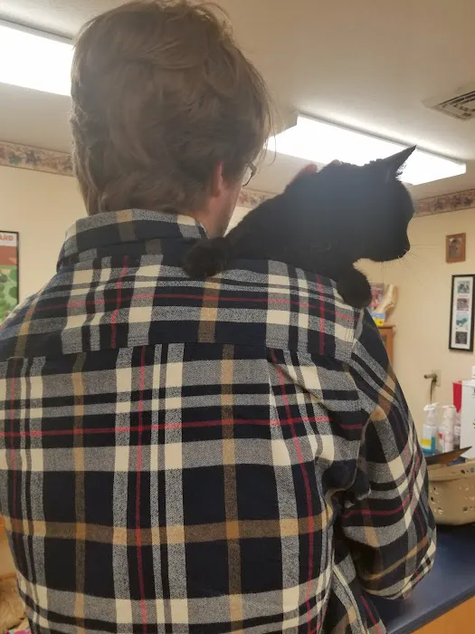 Four Seasons Veterinary Clinic Picture 6