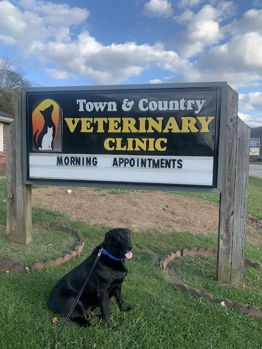 Town & Country Veterinary Clinic Picture 10