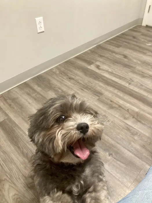 Town & Country Veterinary Clinic Picture 7