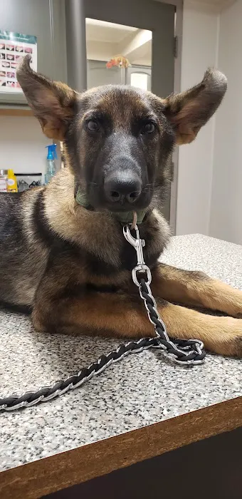 Jackson Animal Clinic Picture 8