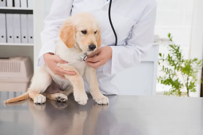 Jackson Animal Clinic Picture 6