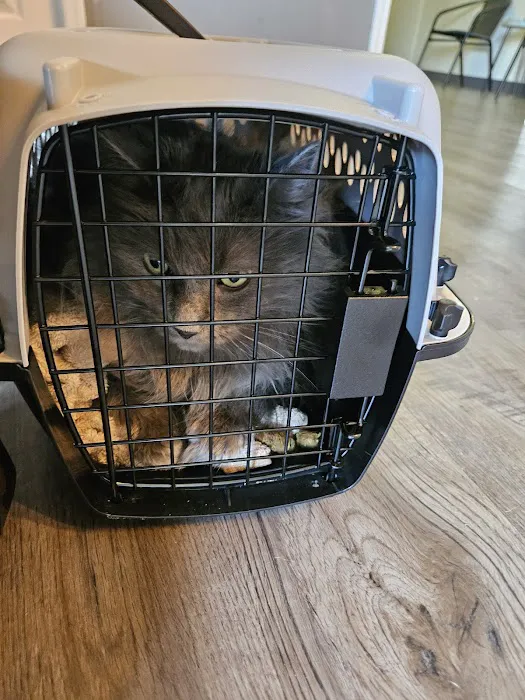 Ripley Paws Veterinary Clinic Picture 2