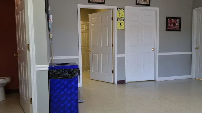Ripley Paws Veterinary Clinic Picture 10