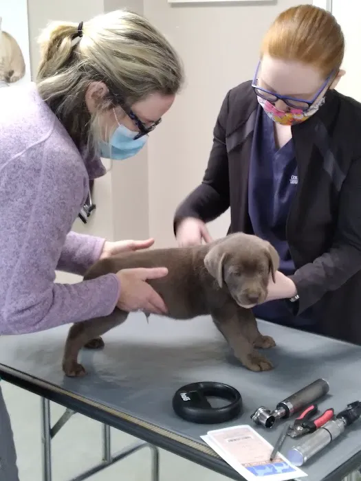 Refugee Canyon West Veterinary Services Picture 5