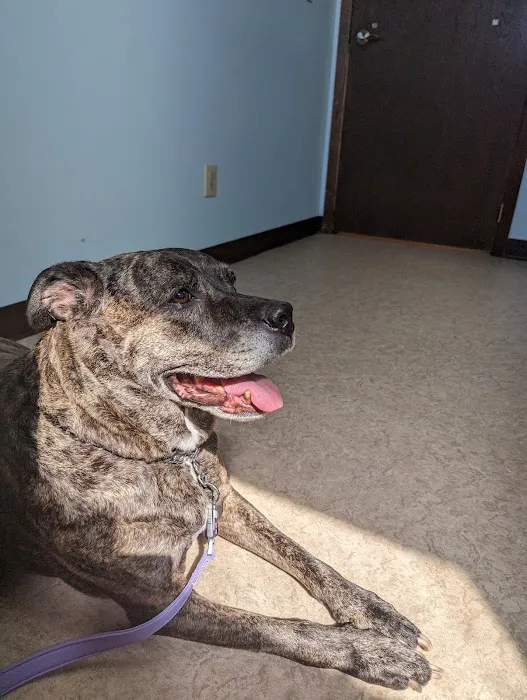 Newark Veterinary Hospital Picture 1