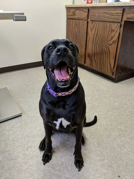 Newark Veterinary Hospital Picture 9