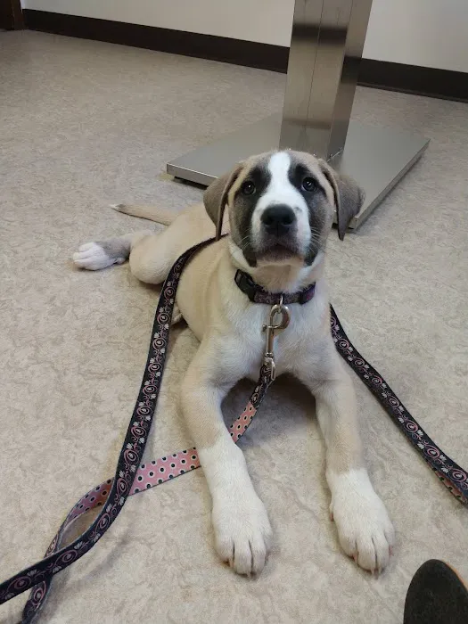 Newark Veterinary Hospital Picture 5