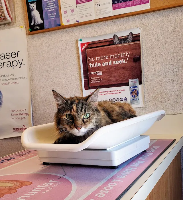 Granville Veterinary Clinic Picture 10