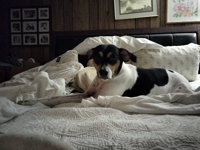 Granville Veterinary Clinic Picture 4