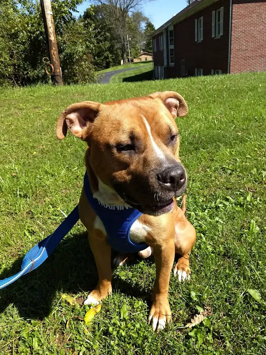 Animal Care Center At Granville Picture 1