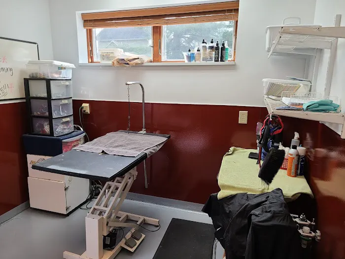 Animal Care Center At Granville Picture 9