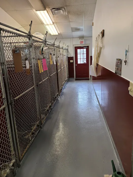 Animal Care Center At Granville Picture 2