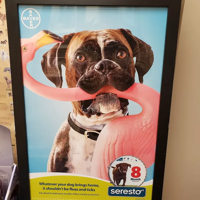 Animal Care Center At Granville Picture 10