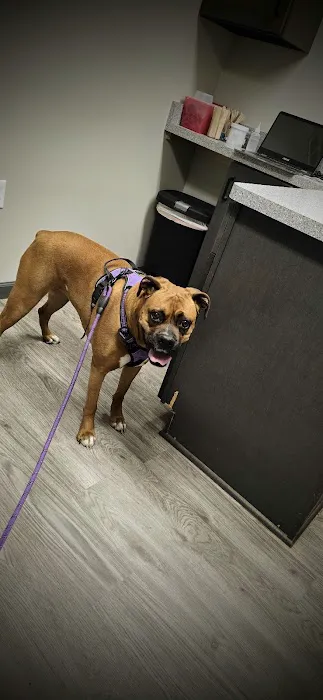 Village Veterinary Care of Granville Picture 6