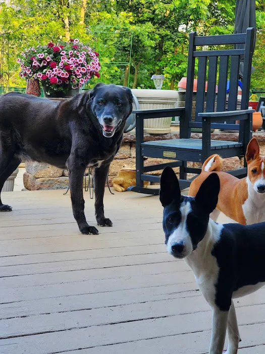Village Veterinary Care of Granville Picture 7
