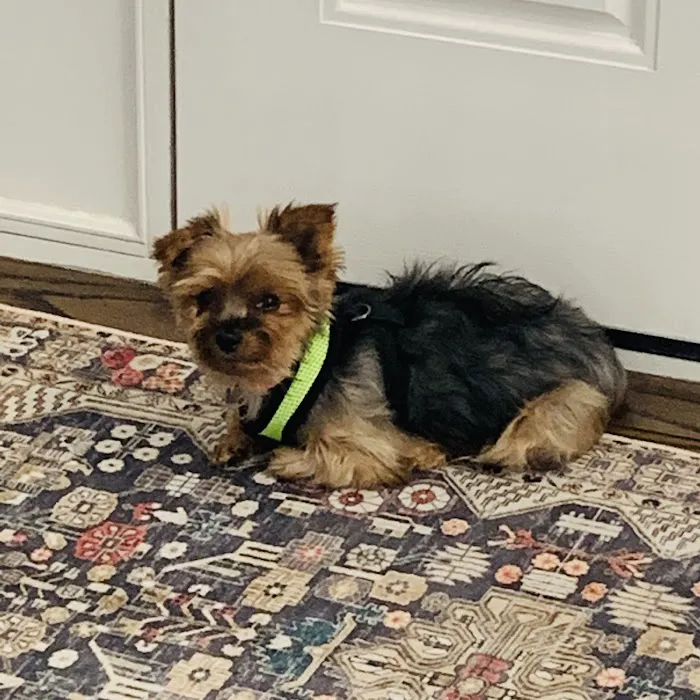 Village Veterinary Care of Granville Picture 9