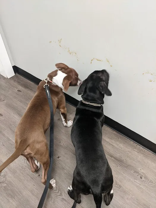 ValuVet Wellness Newark Picture 1