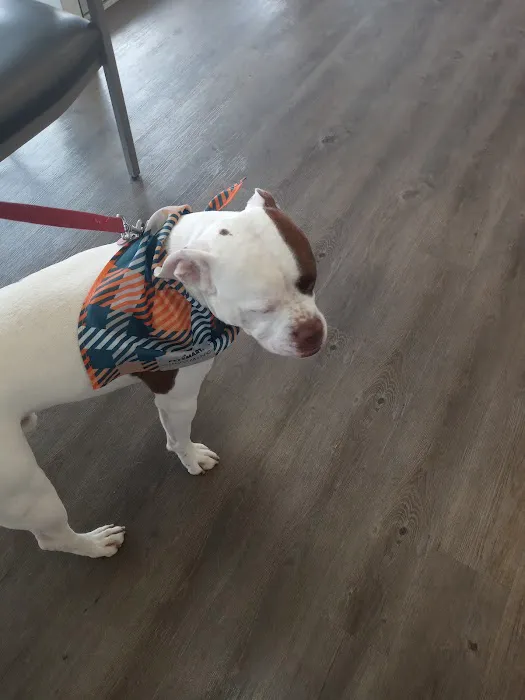 ValuVet Wellness Newark Picture 8