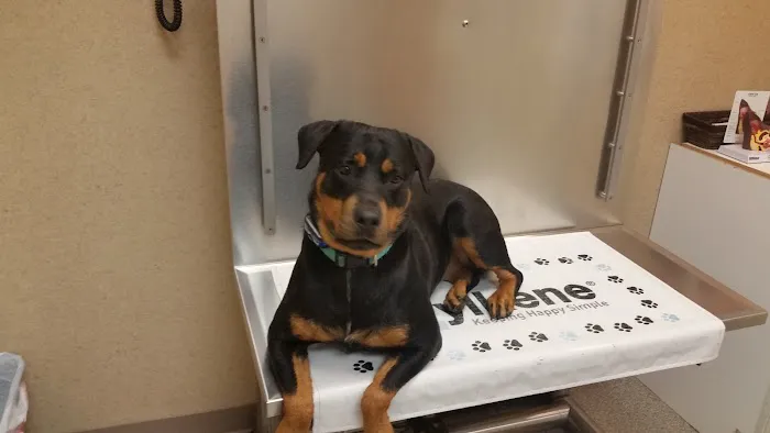 ValuVet Wellness Newark Picture 6