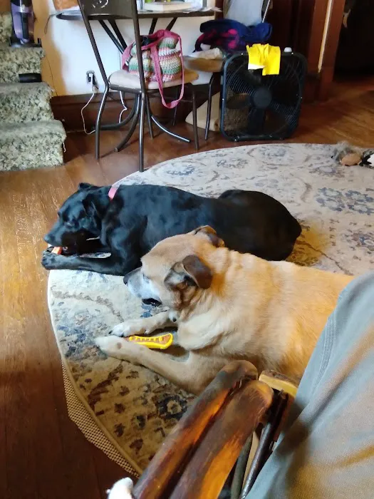 Cold Spring Animal Clinic. Phones answered after hours for assistance and scheduling. Picture 5
