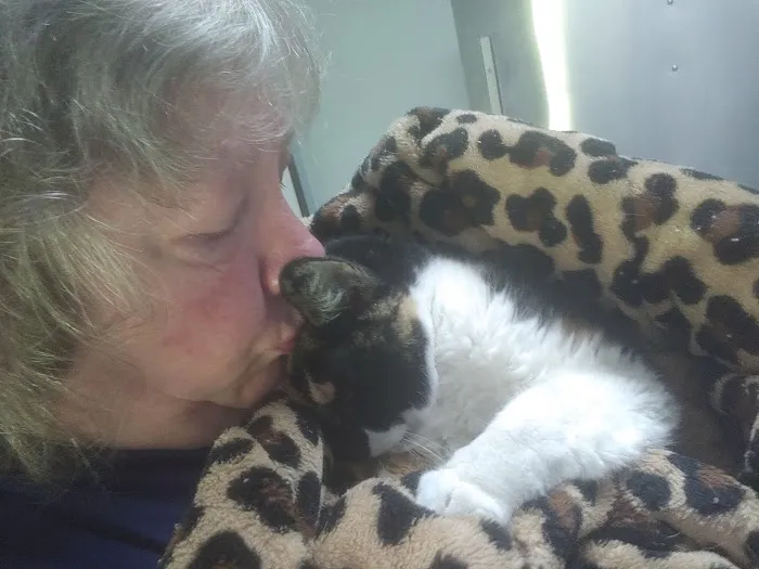 Northtowne Animal Clinic Picture 7