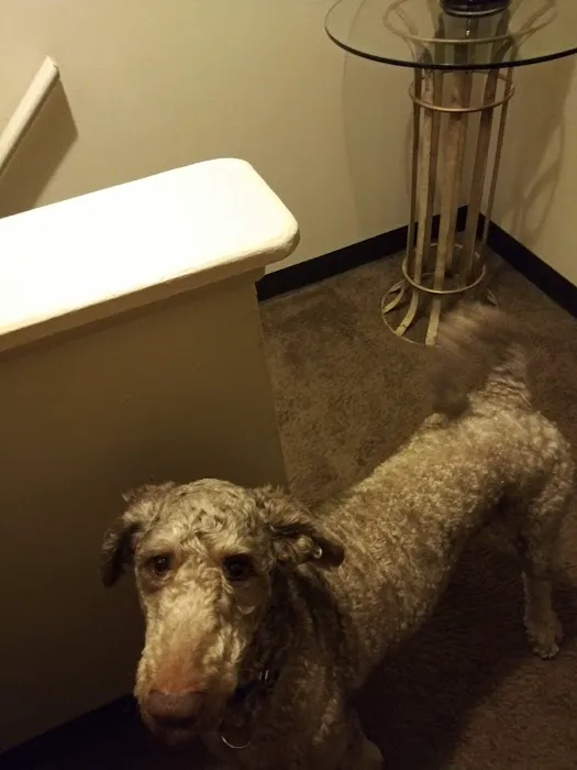 Northtowne Animal Clinic Picture 9