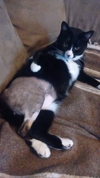 Northtowne Animal Clinic Picture 1