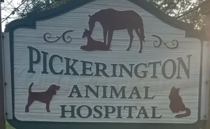 Pickerington Animal Hospital Picture 3