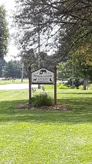 Pickerington Animal Hospital Picture 4