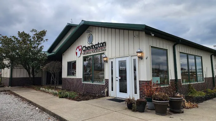 Chevington Animal Hospital Picture 3