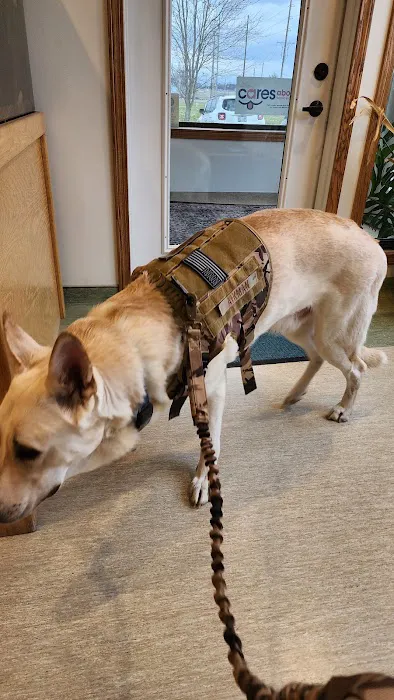 Chevington Animal Hospital Picture 9