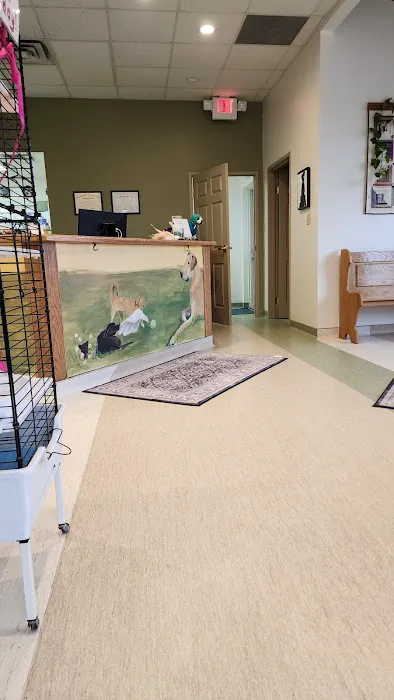 Chevington Animal Hospital Picture 2