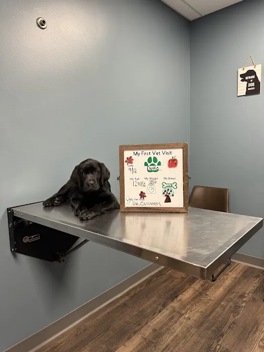Amanda Animal Hospital: Tanhoff Evelyn DVM Picture 1