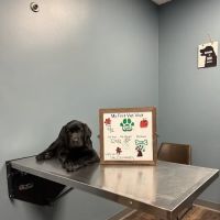 Amanda Animal Hospital: Tanhoff Evelyn DVM ico