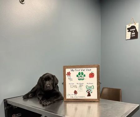 Amanda Animal Hospital: Tanhoff Evelyn DVM