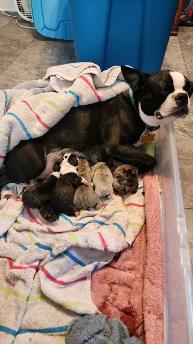 Amanda Animal Hospital, Inc. Picture 8
