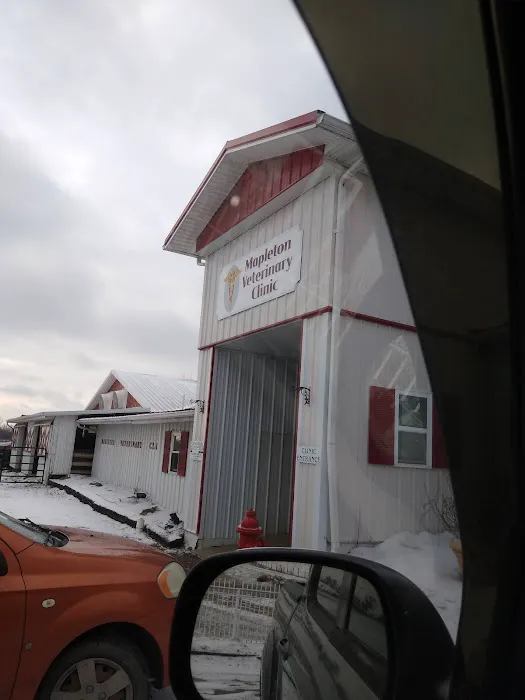 Mapleton Veterinary Clinic Picture 5