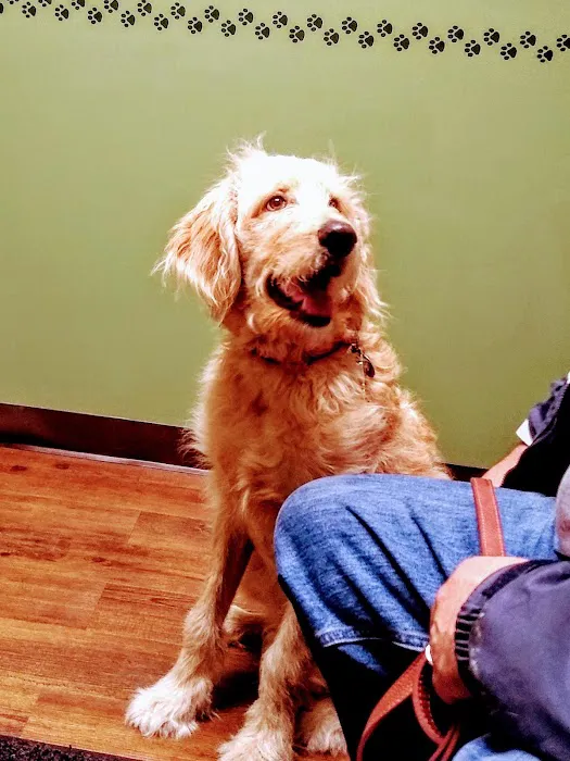 Ashland Veterinary Clinic Picture 3